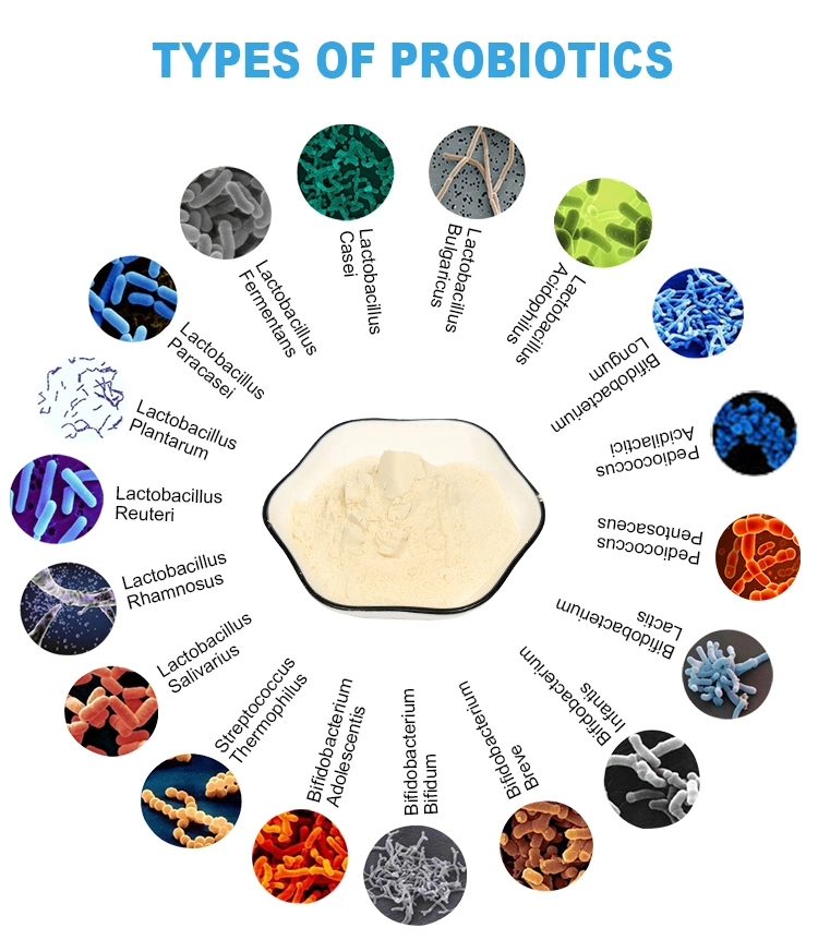 Pediococcus Pentosaceus Food Ingredients From China